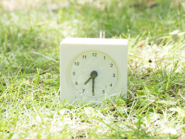 istock White simple clock on lawn yard, 7:30 seven thirty o'clock 801556658