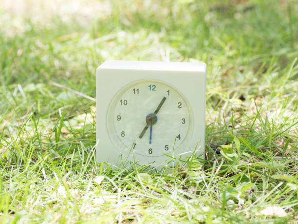 istock White simple clock on lawn yard, 7:05 seven five o'clock 801559058