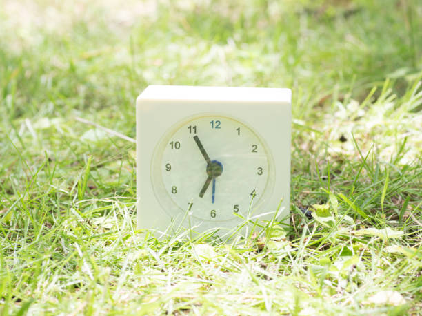 istock White simple clock on lawn yard, 6:55 six fifty five o'clock 801559210