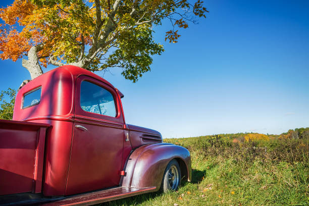 istock Old red farm truck parked under autumn tree 801561942