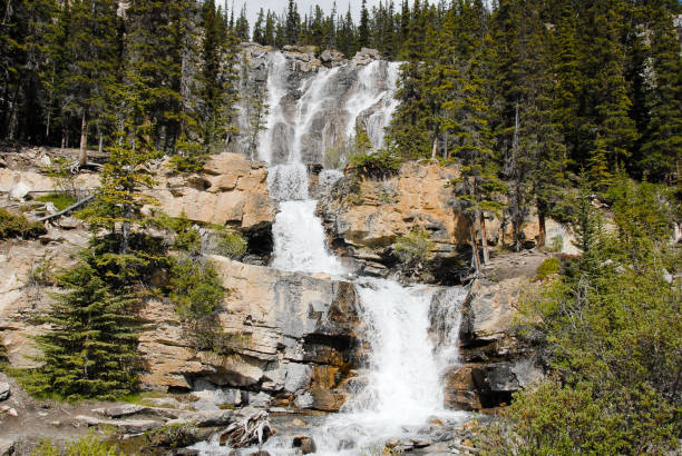 istock Falls along Icefields Parkway and Sunwapta River in the Spring, Canadian Rockies, Alberta, Canada 801569490