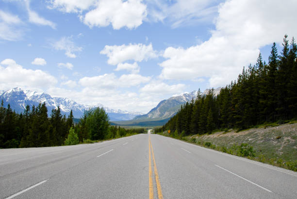 istock Icefields Parkway in the Spring, Canadian Rockies, Alberta, Canada 801570474