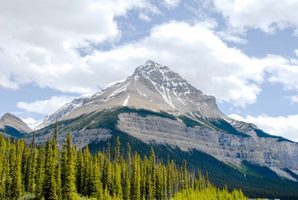 istock Mountain Range in Jasper National Park in the Spring, Canadian Rockies, Alberta, Canada 801571608
