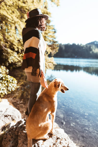 istock woman playing with the dog in the mountain 801571908
