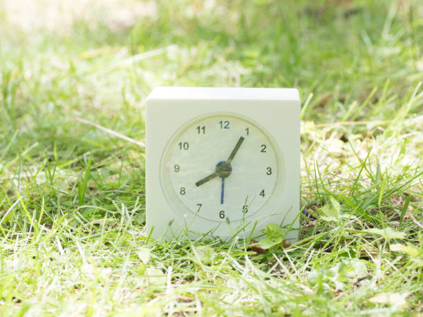 istock White simple clock on lawn yard, 8:05 eight five o'clock 801571926