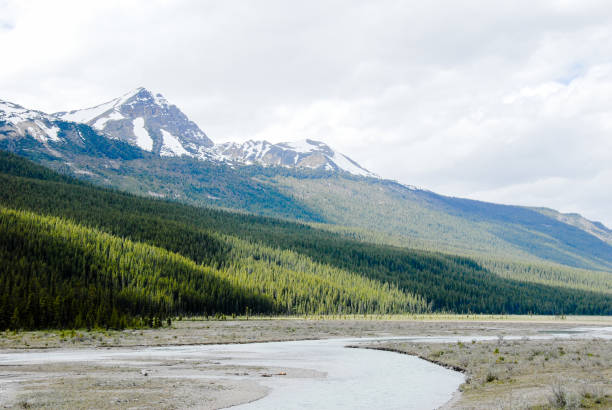 istock Sunwapta River and Mountain Range in the Spring, Canadian Rockies, Alberta, Canada 801571988