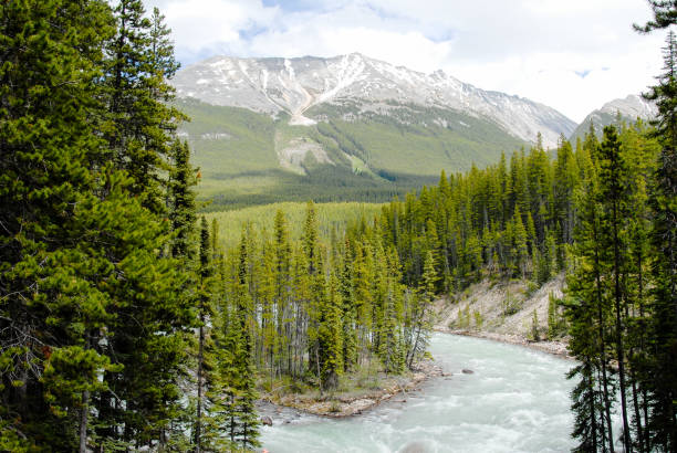istock Sunwapta River and Mountain Range in the Spring, Canadian Rockies, Alberta, Canada 801572022
