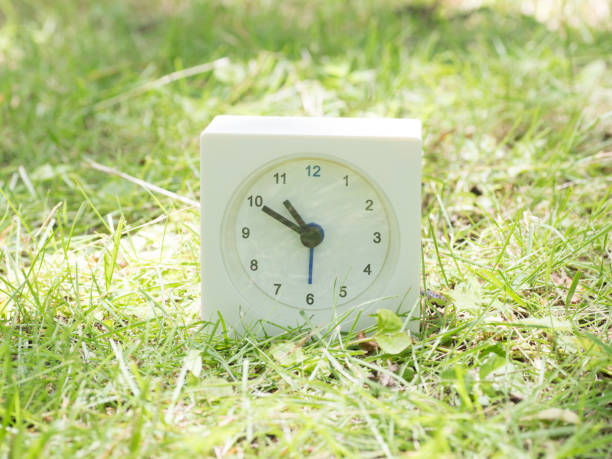 istock White simple clock on lawn yard, 10:50 ten fifty o'clock 801574080