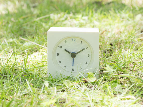 istock White simple clock on lawn yard, 10:10 ten ten o'clock 801584750