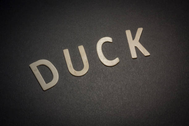 istock Written duck with wooden letters on a black background 801587762