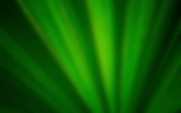 istock blur dark green leaves background and wallpaper 801587886