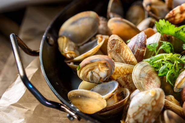 istock Steamed Clam with Butter and Garlic 801605846