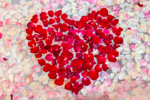 Valentine's day