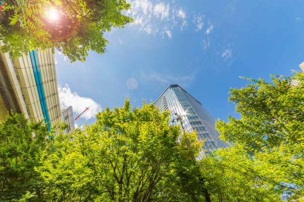 istock Tokyo's sky 801610602