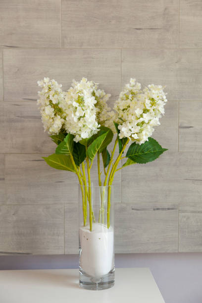 istock flower vase on shelf in room 801628242