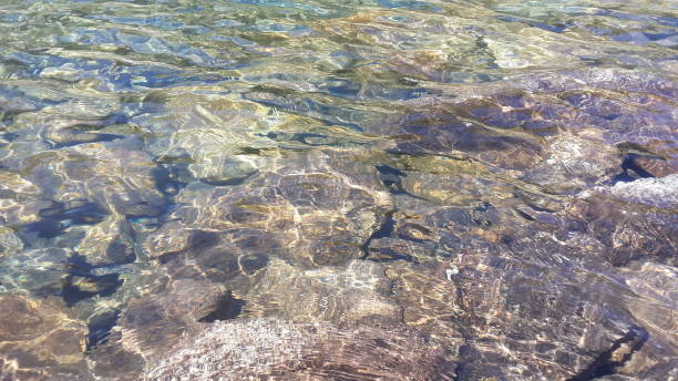 istock rystal clear water in the lake 801637744