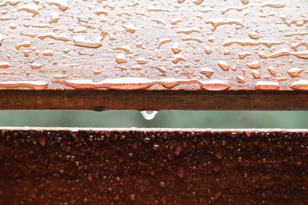 istock Drop of water on wood with raindrop after a rain with copy space. 801644918