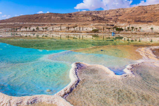 istock The evaporated salt in the Dead Sea 801652604