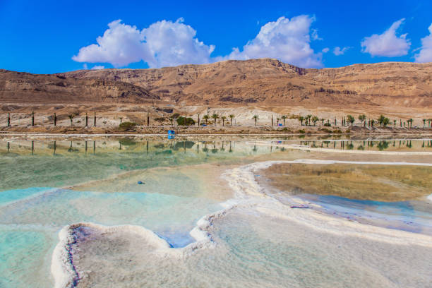 istock The salt of Dead Sea 801652612