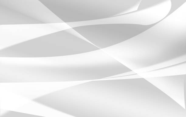 istock abstract white and gray color line background , modern illustration background 801655350