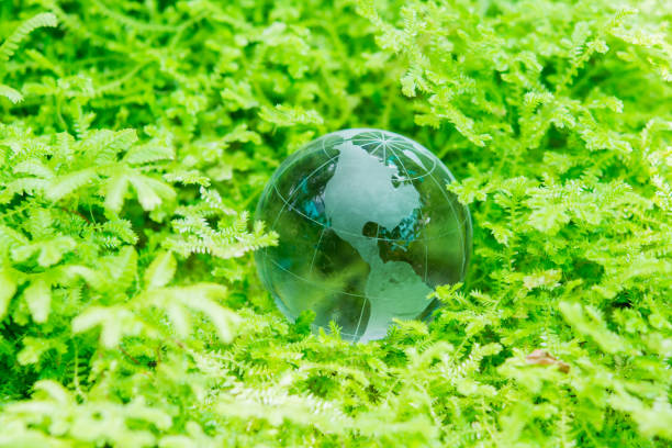 istock Environment concept glass globe in green grass 801655460