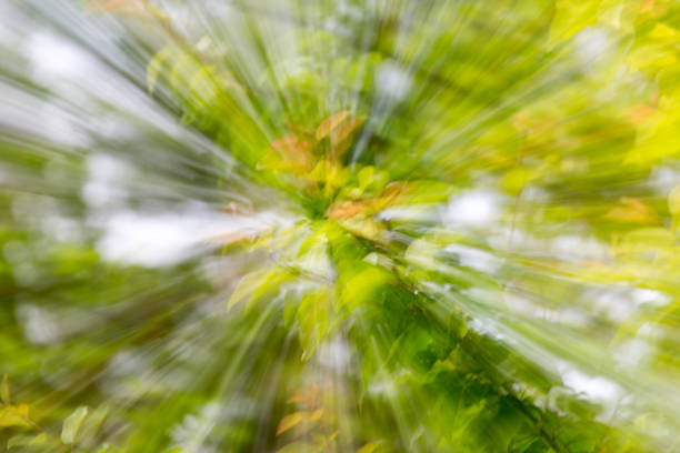 istock background of nature in motion 801671806