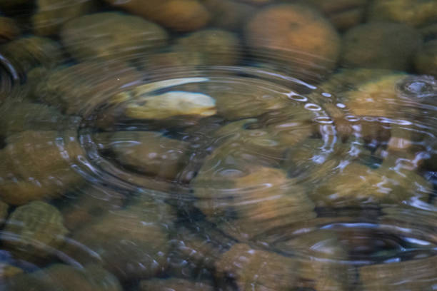 istock Ripples and stones in a garden in Macau 801674828