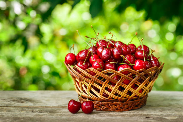 istock cherries in basket on table in garden 801683476