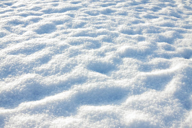 istock white blue background from snow shiny in sun 801686508