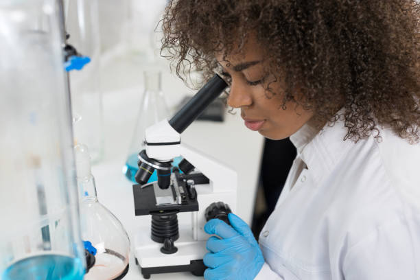 istock Young Scientist Looking Through Microscope In Laboratory, Mix Race Researcher Doing Research Experiments 801703328