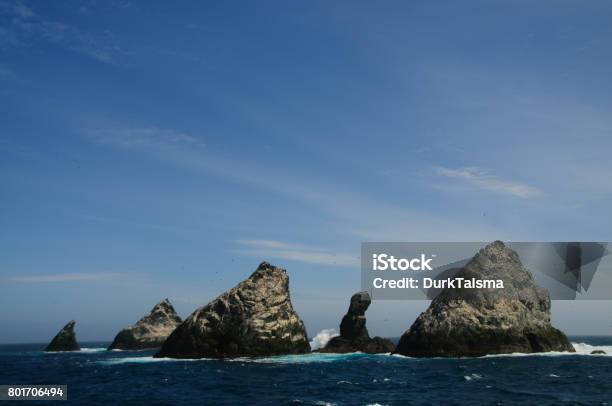 The Shag Rocks Stock Photo - Download Image Now - Nuuk City, Wallis And Futuna Islands, Animal Wildlife