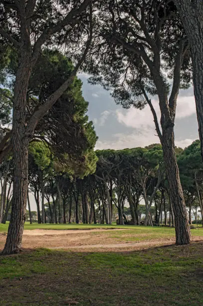 View on a golf green at a golf course near Cannes