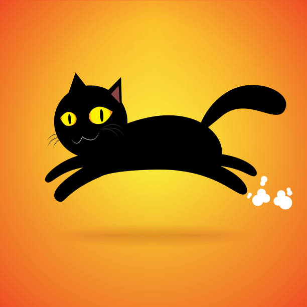 black cat jump isolated background, happy halloween day
