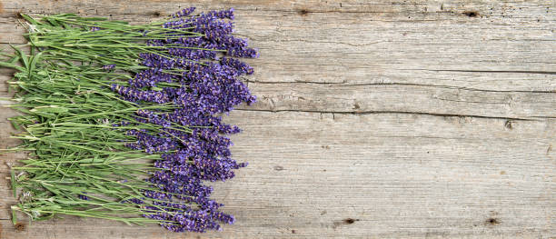 istock Lavender flowers fresh wooden background 801732118