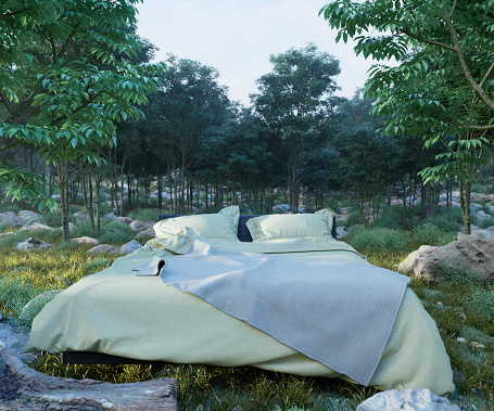 vacation concept background with bed and evening forest photo