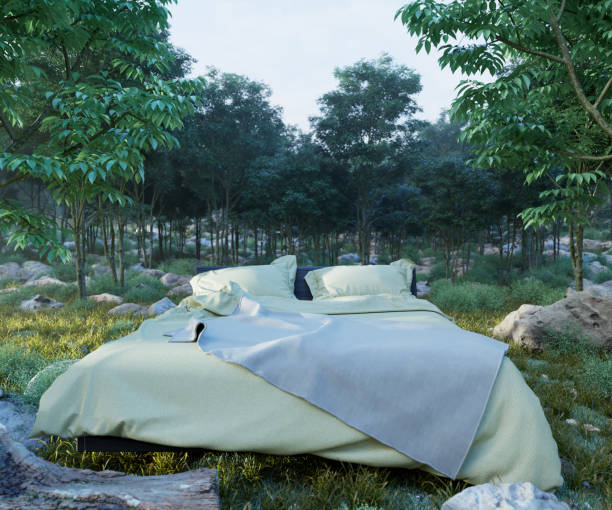 vacation concept background with bed and evening forest photo stock photo