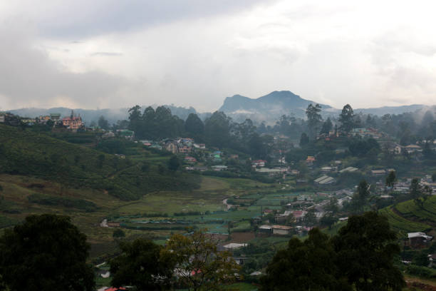 istock Tea Garden in Sri Lanka in a Rain 801741332