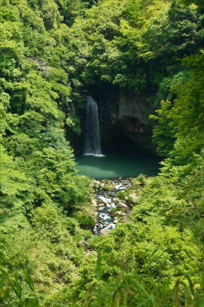 istock Waterfall of Suzaki 801741710