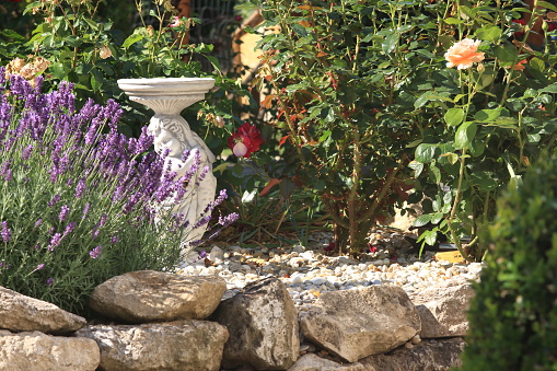 lavender sculpture stones flowers roses