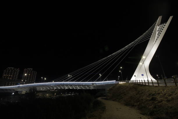 istock Night profile of the Flaiano bridge 801744672