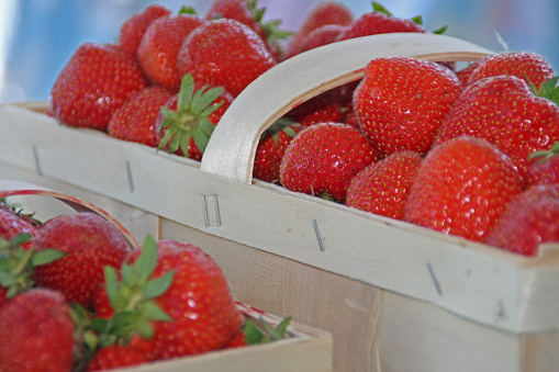 Ripe strawberries in cardboard cartons for sale.
