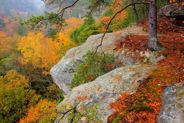 Peak Fall Color in Hocking Hills Ohio stock photo