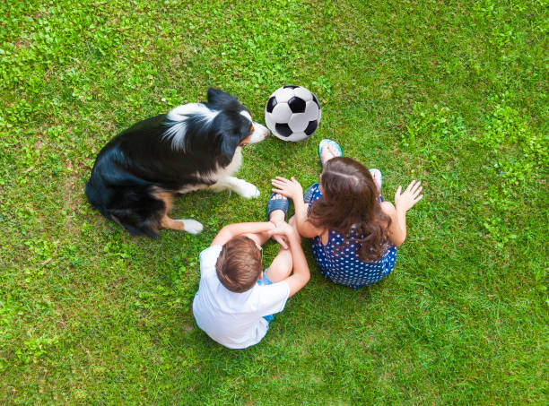 istock Children sitting on grass with their dog 801773532