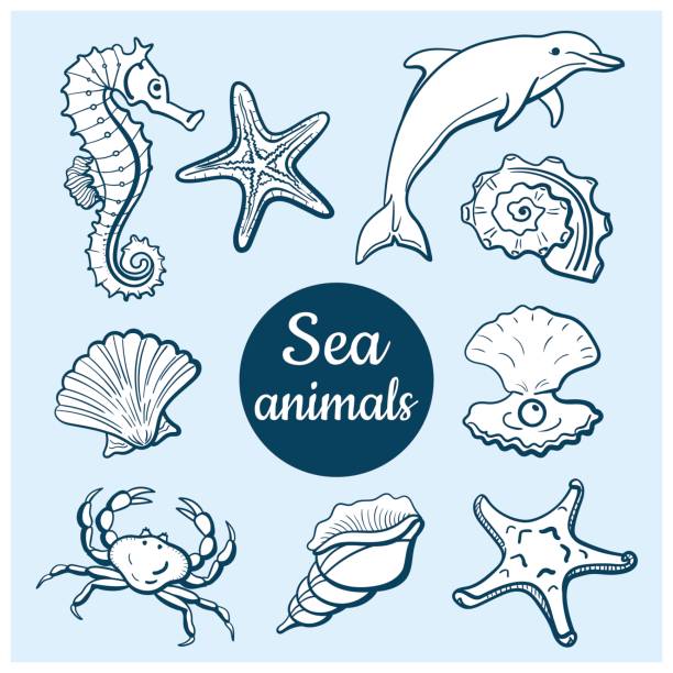 sea_animals_set - computer icon symbol sea life prepared crab stock illustrations