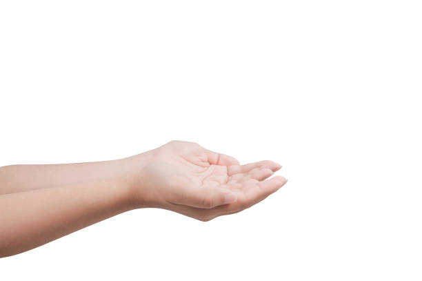istock Cupped hands of young woman. isolated 801779030