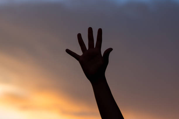 istock hand girl on sunset background 801781236