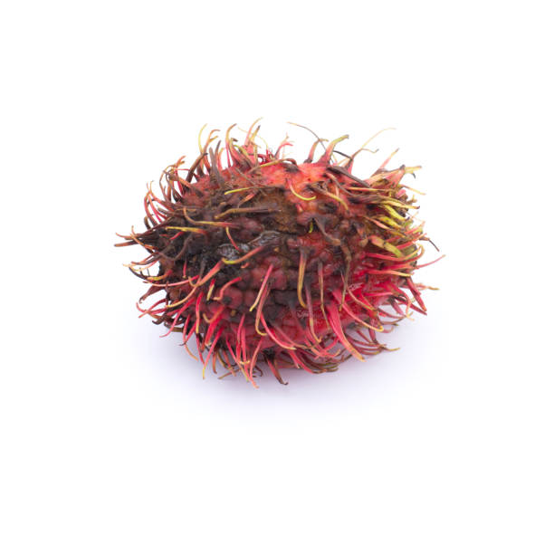 istock Rotten rambutan isolated on white background 801791066