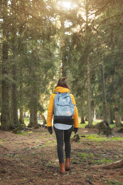 istock Young woman walking in the coniferous forest. 801804482