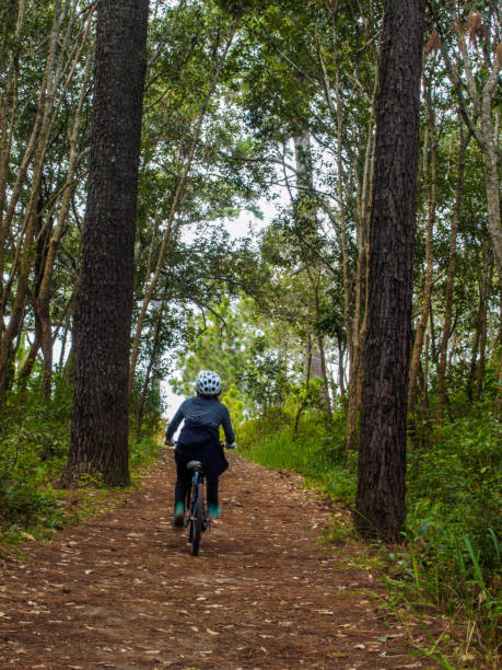 istock Woman cycling in a pine forest 801815078