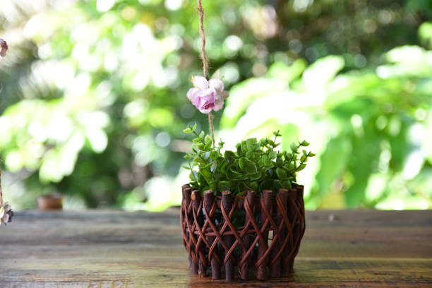 istock Vintage flowerpot with wild beautiful flowers on background soft focus and blurred. 801815134
